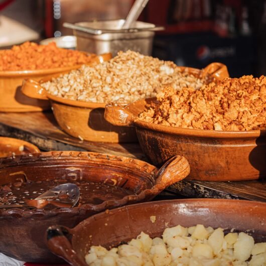 Aprende a preparar guisados caseros con auténtico sabor mexicano y recetas ideales para toda la familia.